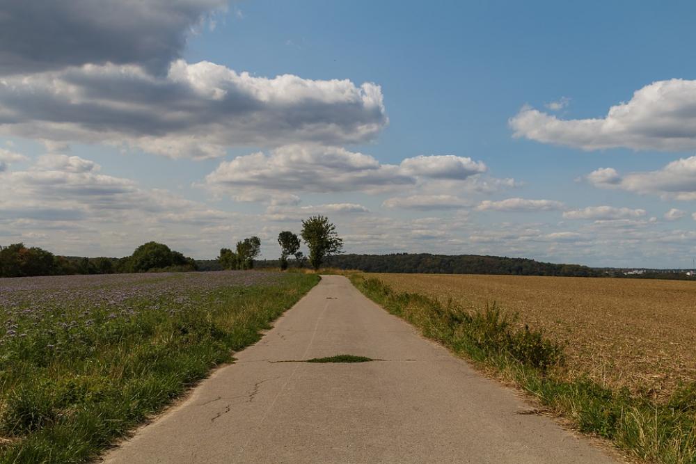 Away Field Sky Landscape Nature Lane Road Away Field Sky Landscape Nature Lane Road