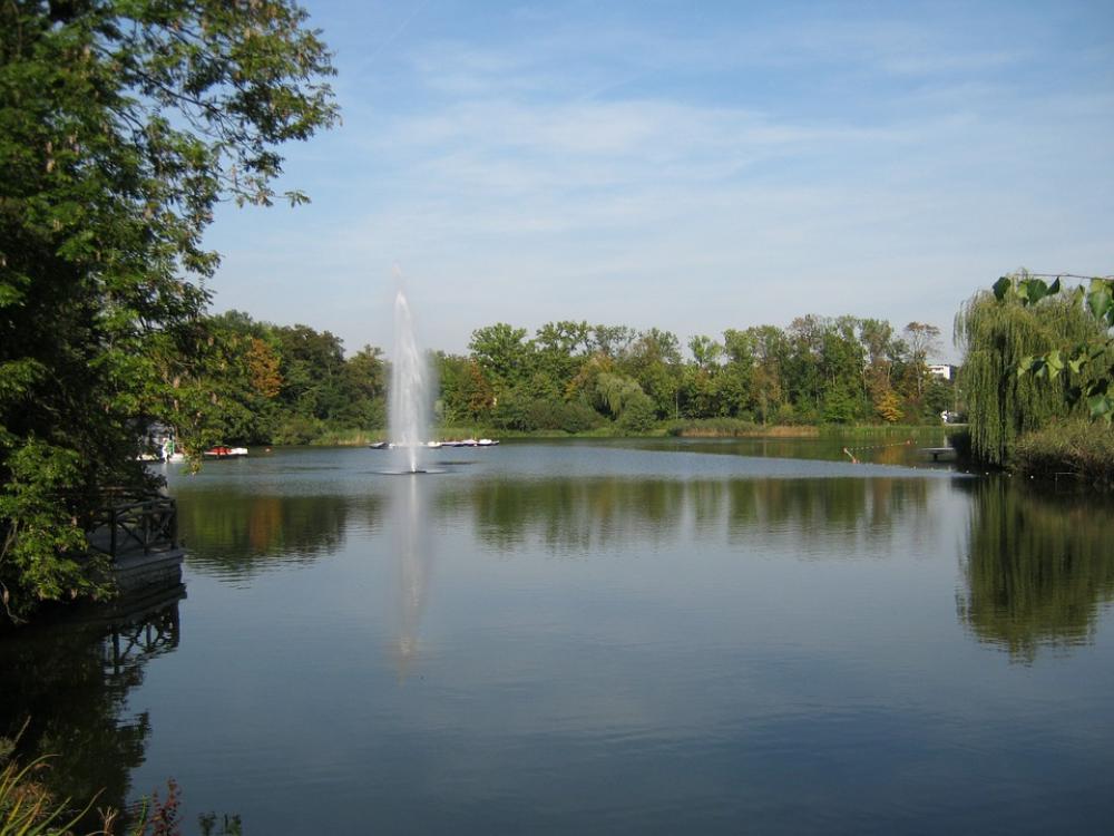 Bad Nauheim Germany Pond Summer Fountain Bad Nauheim Germany Pond Summer Fountain