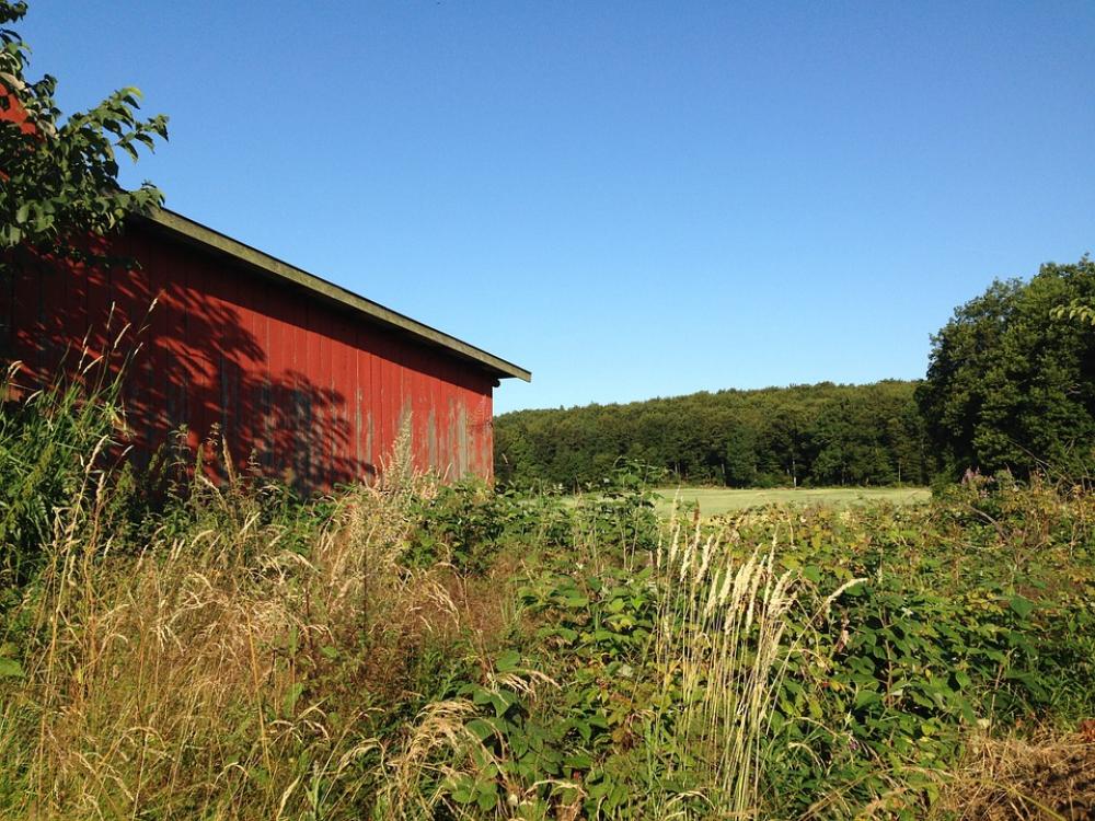 Barn Red Country Go Farmhouse Summer Blue Himmel Barn Red Country Go Farmhouse Summer Blue Himmel