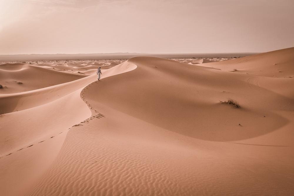Barren Desert Dune Hot Landscape Nature Sand Barren Desert Dune Hot Landscape Nature Sand
