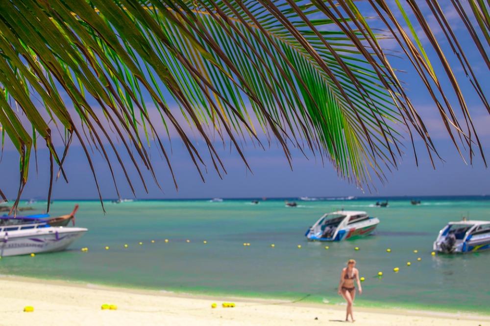 Beach Thailand Phiphi Palma Sea Holidays Krabi Beach Thailand Phiphi Palma Sea Holidays Krabi