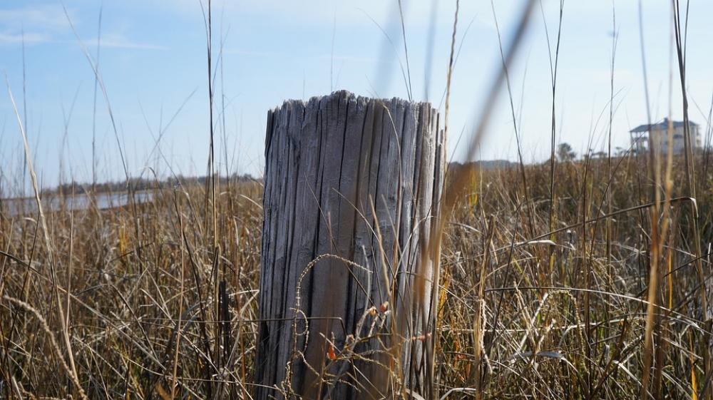 Beach Coast Post Ocean Water Sky Nature Vacation Beach Coast Post Ocean Water Sky Nature Vacation