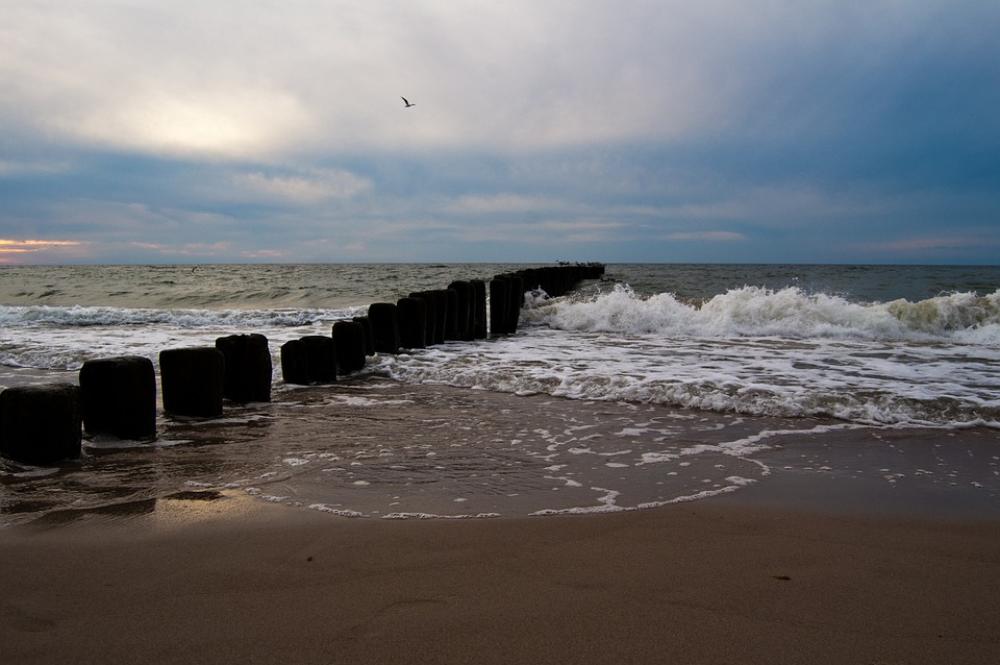 Beach Sea Sand Summer The Coast Nature Rest Beach Sea Sand Summer The Coast Nature Rest