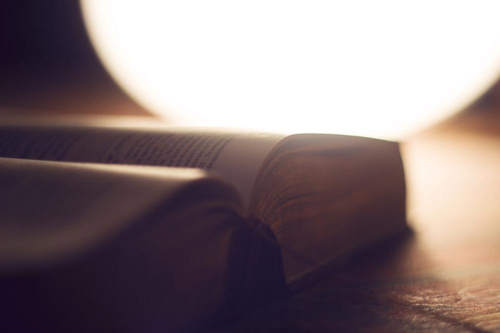 Bible Blur Book Close-Up Document Page Paper Bible Blur Book Close-Up Document Page Paper