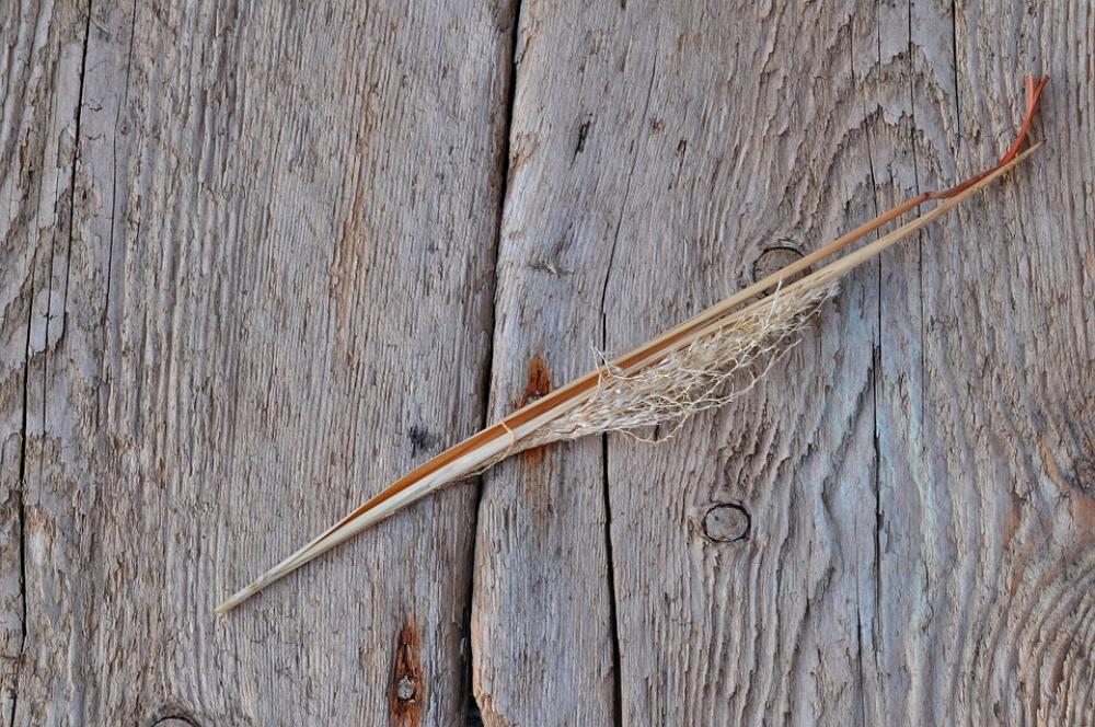 Blade Of Grass Dried Deco Wood Background Blade Of Grass Dried Deco Wood Background