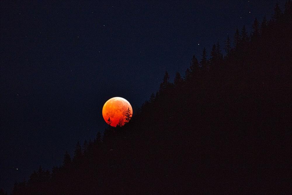Blood Moon Moon Lunar Eclipse 2019 Night Dark Blood Moon Moon Lunar Eclipse 2019 Night Dark