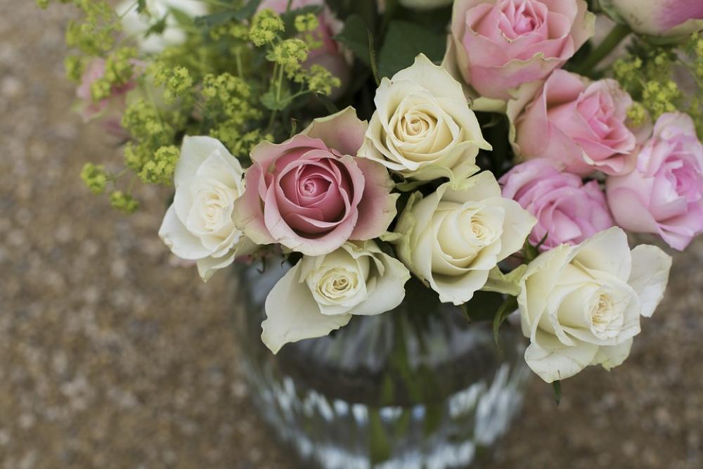 Bloom Blooming Blossom Bouquet Cluster Decoration Bloom Blooming Blossom Bouquet Cluster Decoration