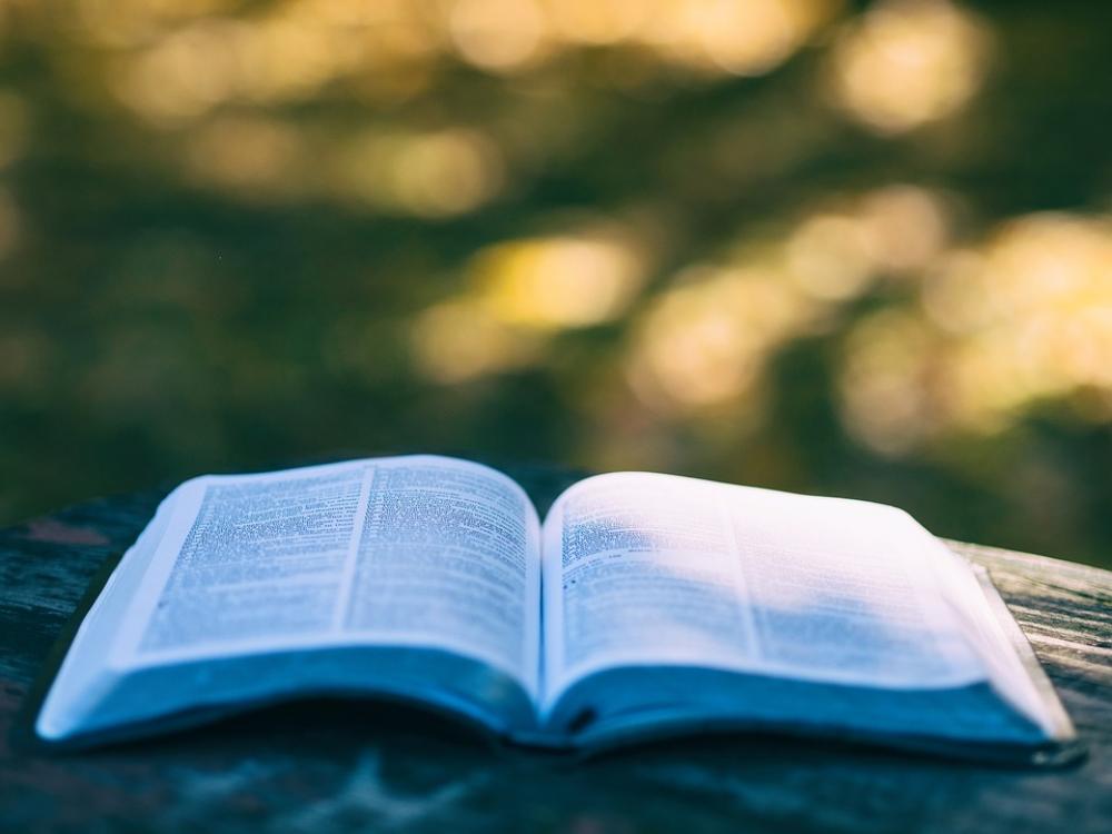 Blur Book Bokeh College Education Knowledge Blur Book Bokeh College Education Knowledge
