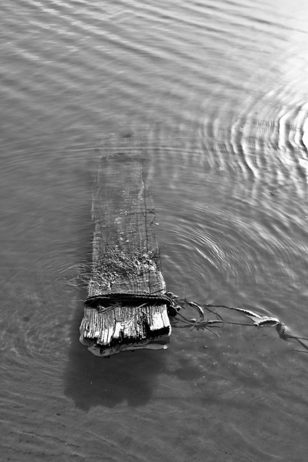 Board Water Black And White Sea Board Water Black And White Sea