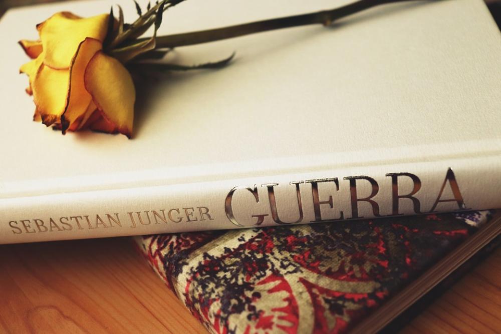 Books Rosa Literature Rose Photography Books Rosa Literature Rose Photography