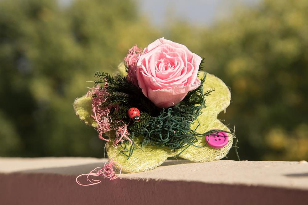 Bouquet Flowers Rose Wall Decoration Ladybug Bouquet Flowers Rose Wall Decoration Ladybug