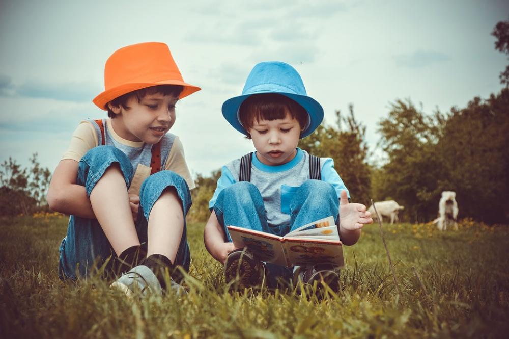 Boys Children Reading Summer Kids Brothers Boys Children Reading Summer Kids Brothers