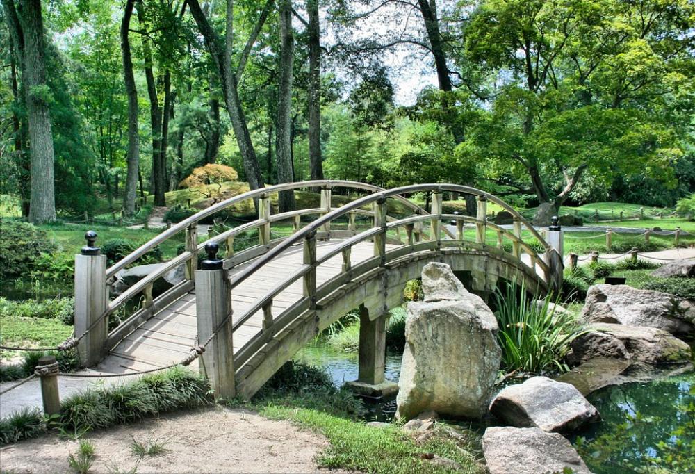 Bridge Japanese Garden Arch Park Gardening Green Bridge Japanese Garden Arch Park Gardening Green