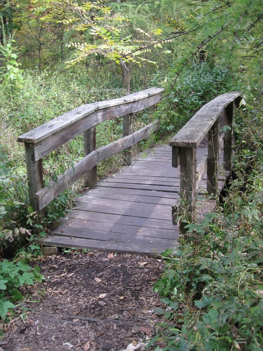 Bridge Woods Path Old Wooden Bridge Woods Path Old Wooden