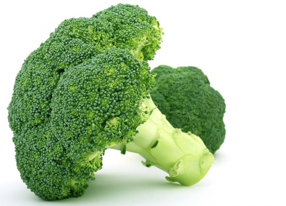 Broccoli Vegetable Diet Food Fresh Green Broccoli Vegetable Diet Food Fresh Green