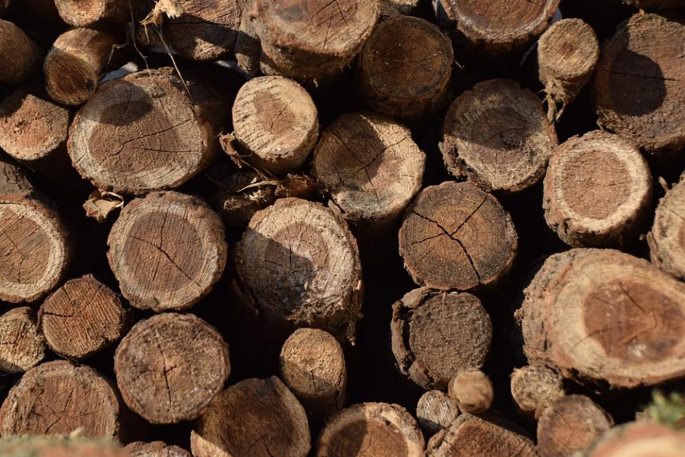 Brown Log Wood Trunks Nature Tribe Firewood Bark Brown Log Wood Trunks Nature Tribe Firewood Bark
