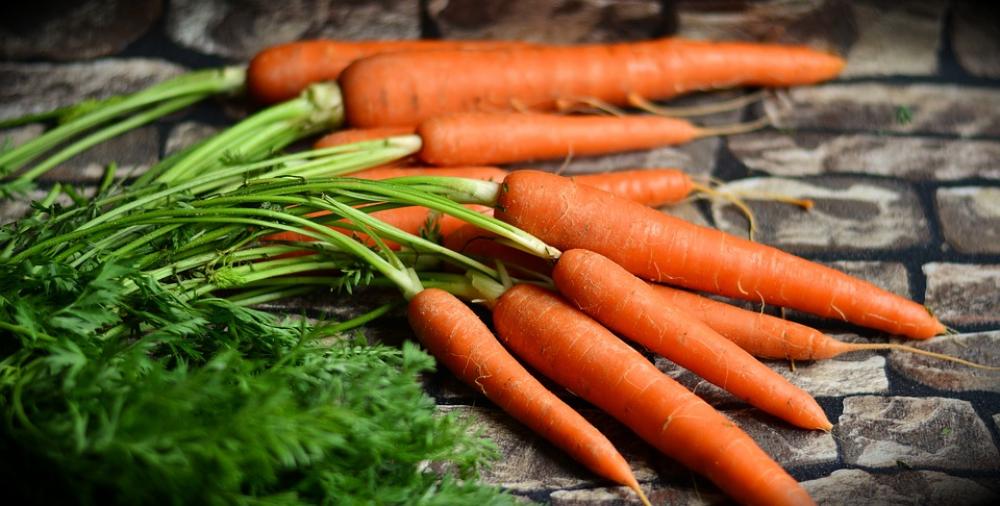 Carrots Vegetables Harvest Healthy Red Carrots Carrots Vegetables Harvest Healthy Red Carrots