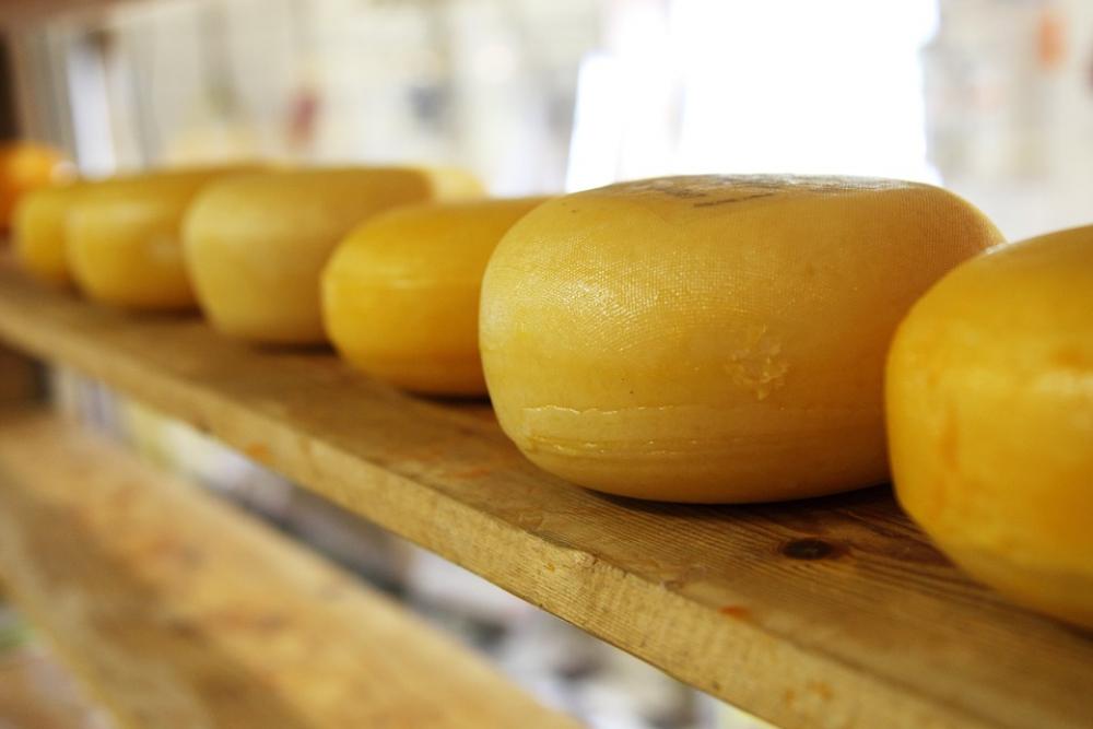 Cheese Circle Circular Dairy Dutch Eat Food Cheese Circle Circular Dairy Dutch Eat Food