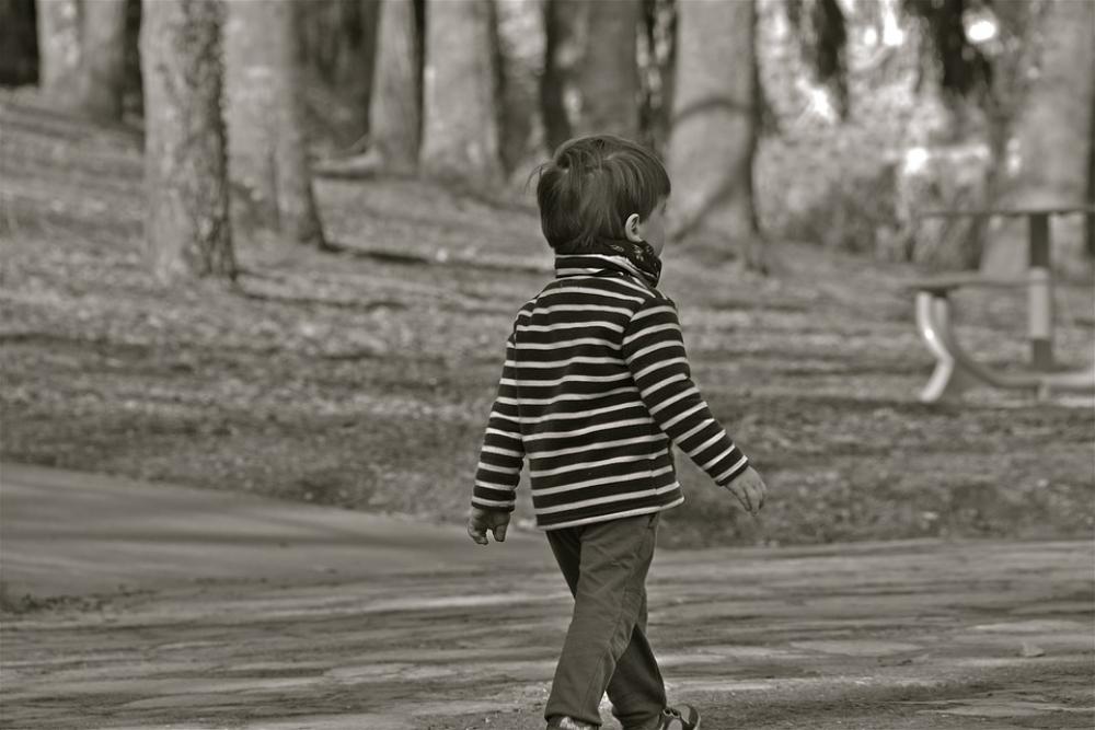 Child Boy Person Pullover Striped Park Child Boy Person Pullover Striped Park