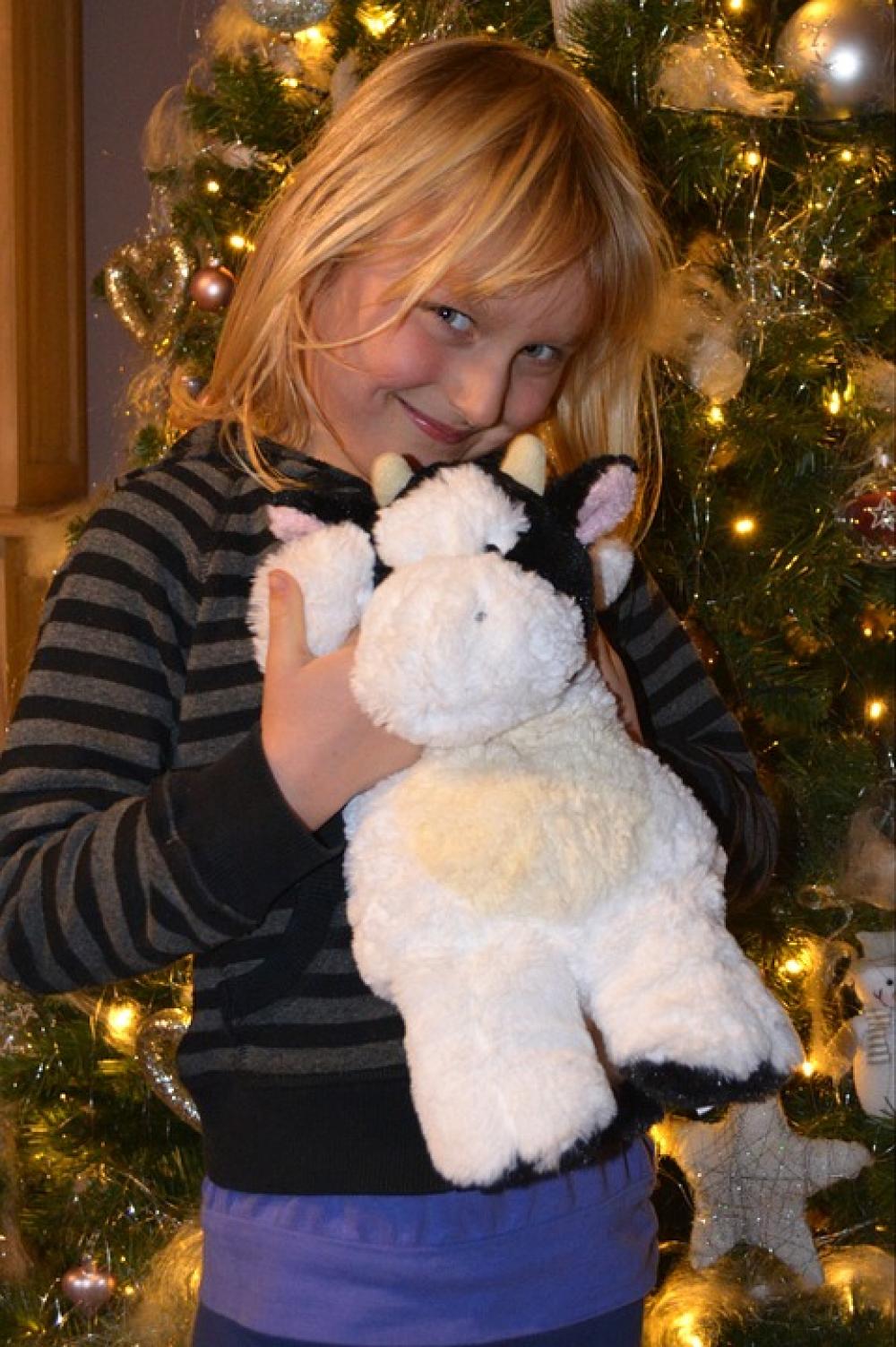 Child Christmas People Girl Stuffed Animal Happy Child Christmas People Girl Stuffed Animal Happy