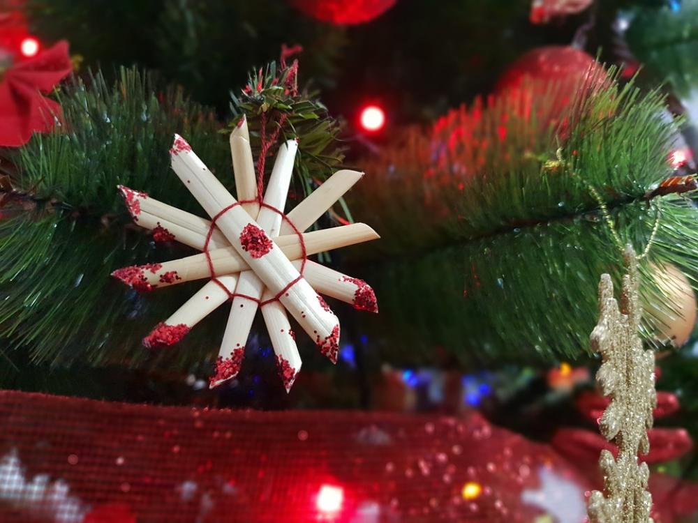 Christmas Tree Christmas Christmas Star Christmas Tree Christmas Christmas Star