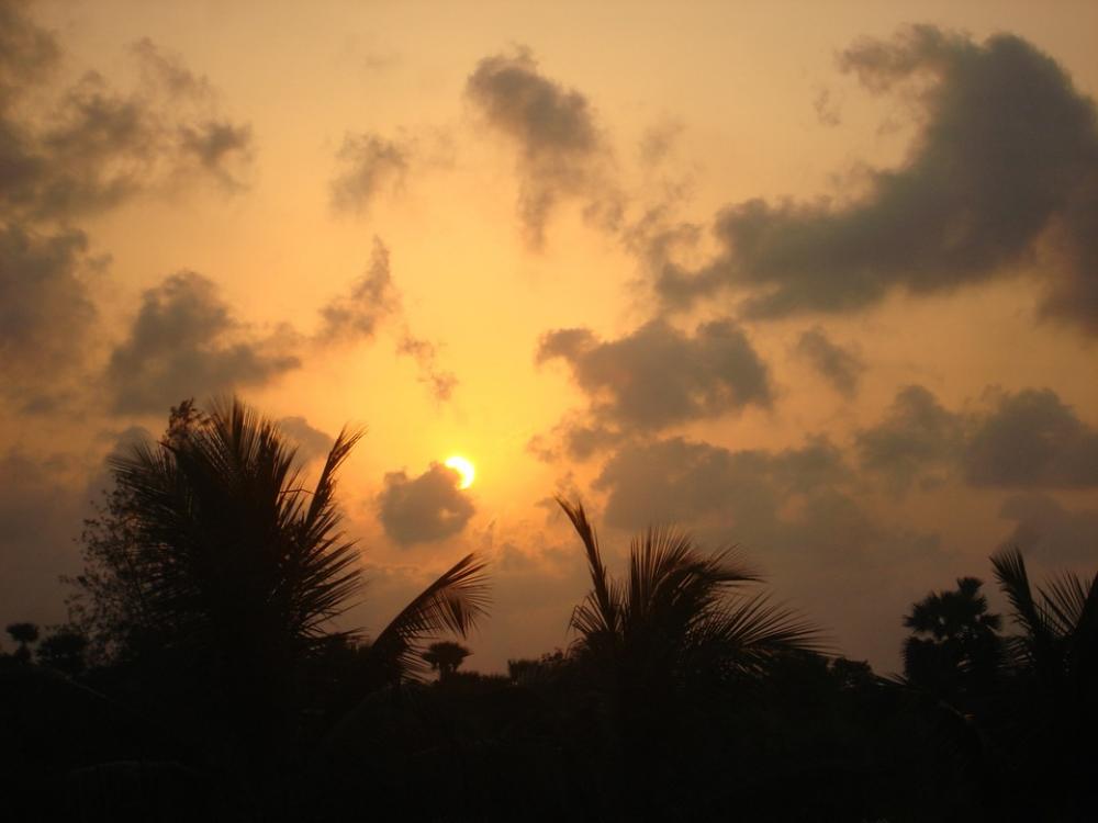 Clouds Sunset Coconut Tree Clouds Sunset Coconut Tree