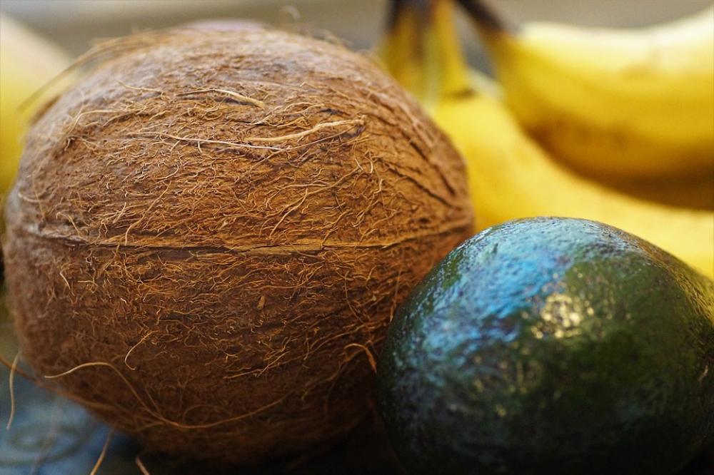 Coconut Walnut Tropical Exotic Fruit Hard Peel Coconut Walnut Tropical Exotic Fruit Hard Peel