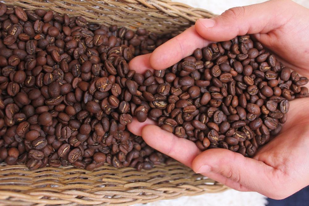 Coffee Drink Caffeine Cafe Fresh Drinks Coffee Drink Caffeine Cafe Fresh Drinks