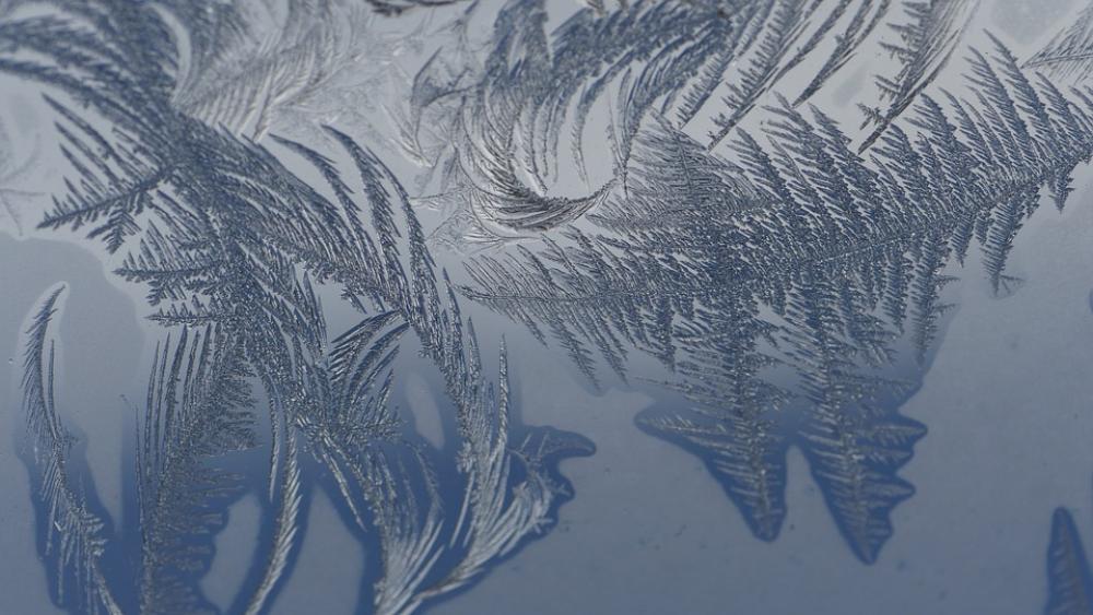 Cold Frost Winter Ice Crystals Cold Frost Winter Ice Crystals