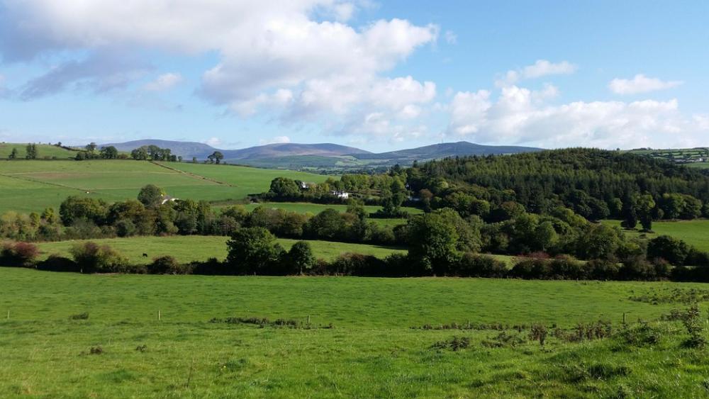 Country Land Nature Landscape Green Countryside Country Land Nature Landscape Green Countryside