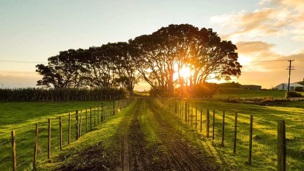 Countryside Sunset Landscape Landscape Summer Field Countryside Sunset Landscape Landscape Summer Field