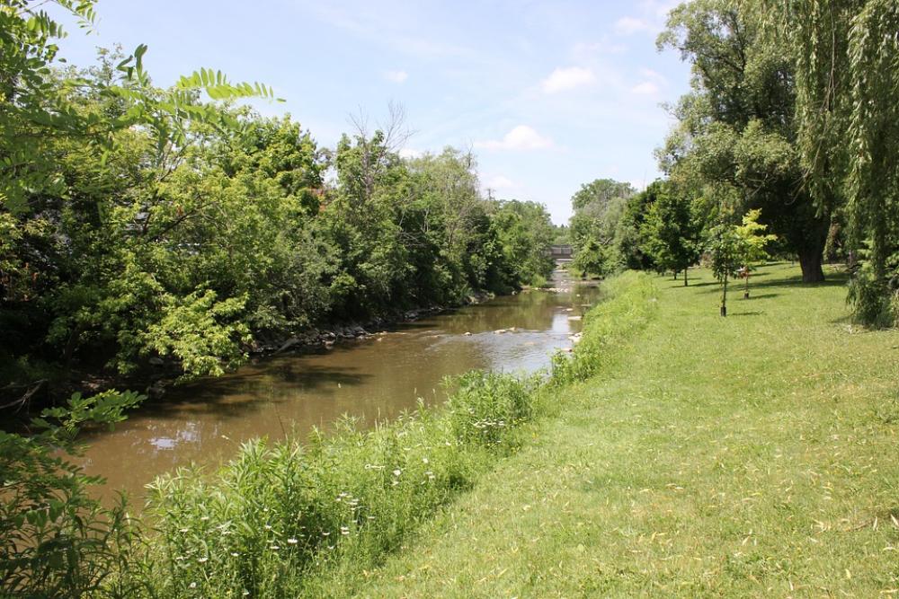 Creek Nature Water Flowers Trees Park Fresh Creek Nature Water Flowers Trees Park Fresh