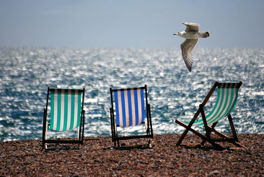 Deckchairs Sea Beach Seaside Seagull Summer Deckchairs Sea Beach Seaside Seagull Summer