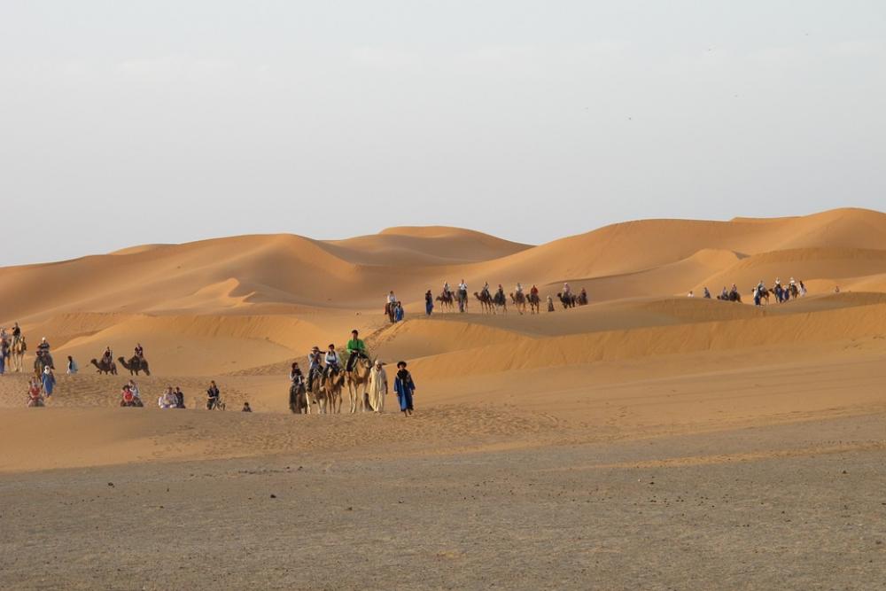 Desert Merzouga Dunes Morocco Desert Merzouga Dunes Morocco