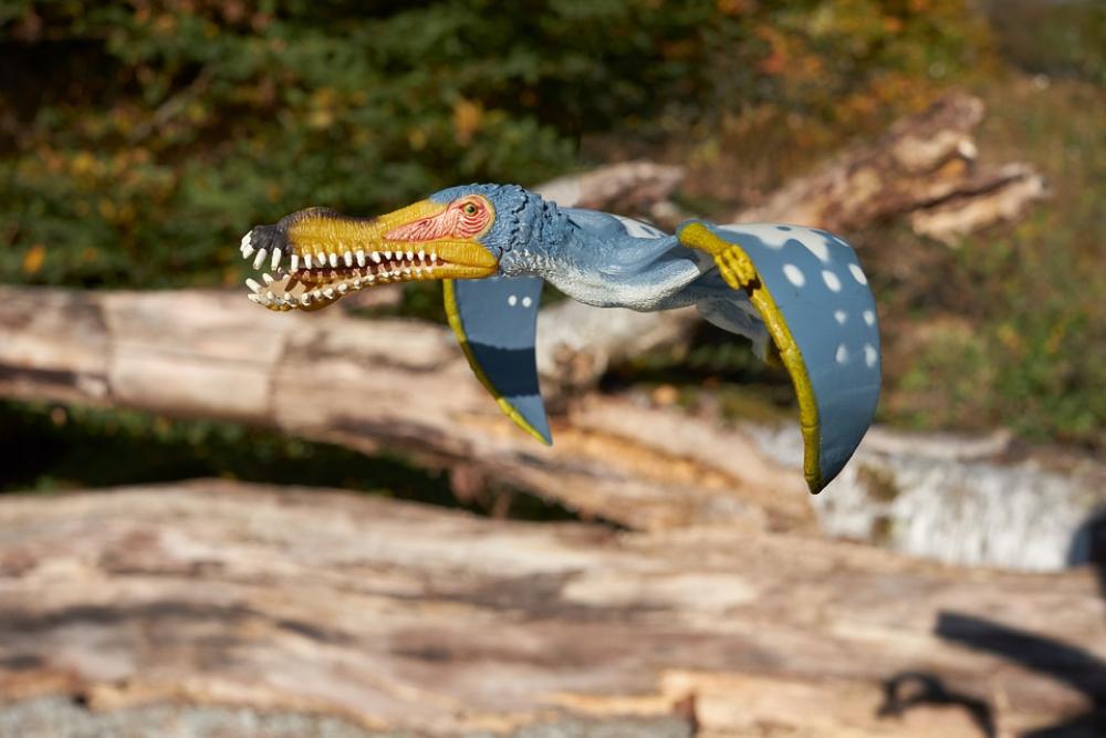 Dinosaur Flying Pterosaur Dinosaur Flying Pterosaur
