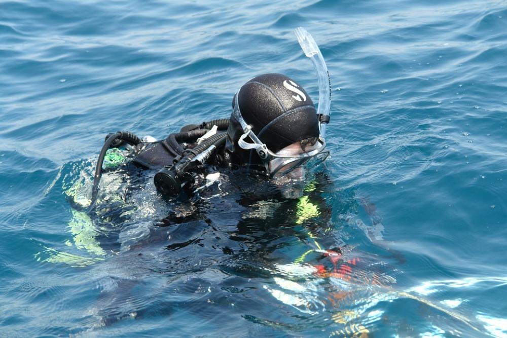 Diving Ocean Water Blue Marine Scuba Vacation Diving Ocean Water Blue Marine Scuba Vacation