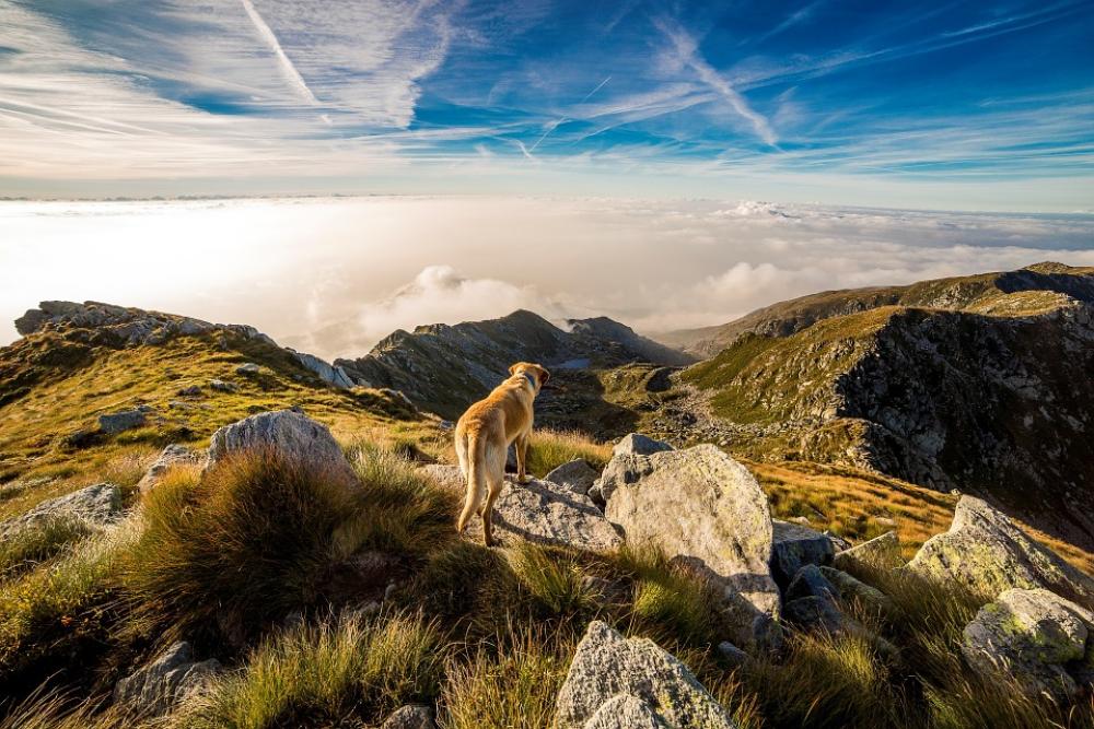 Dog Mountain Mombarone Clouds Landscape Andrate Dog Mountain Mombarone Clouds Landscape Andrate