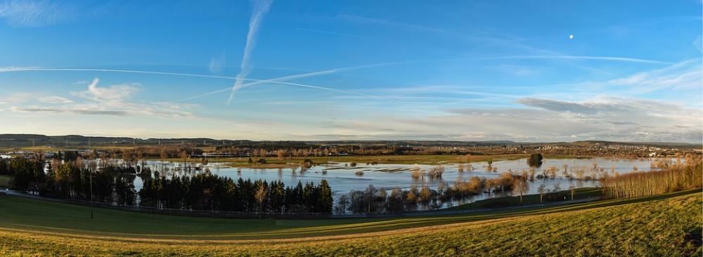 Donaueschingen Pfohren Nature River Danube Water Donaueschingen Pfohren Nature River Danube Water