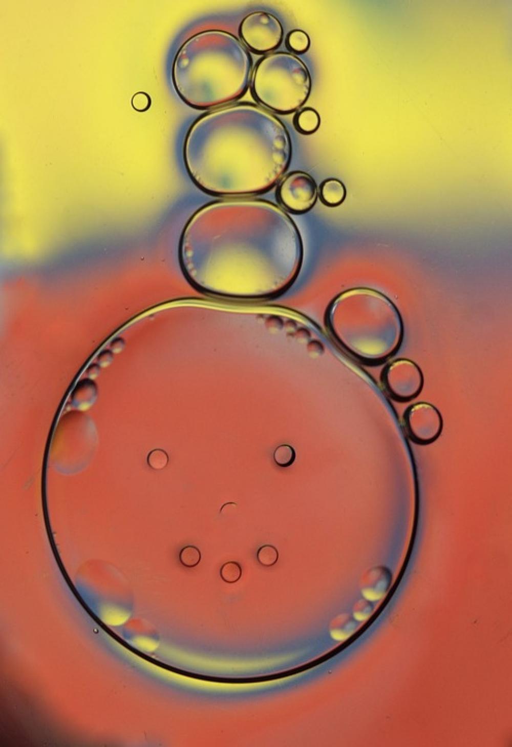 Drops Macro Water Liquid Coloring Reflection Drops Macro Water Liquid Coloring Reflection