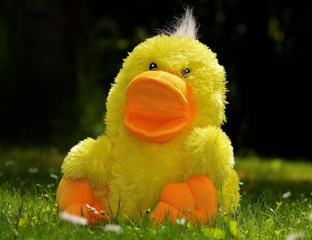 Duck Funny Soft Toy Toys Children Meadow Cute Duck Funny Soft Toy Toys Children Meadow Cute