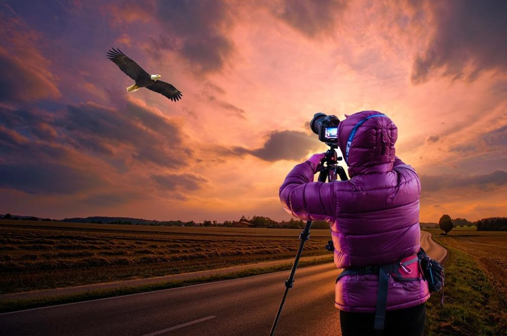 Eagle Camera Woman Photo Eagle Camera Woman Photo