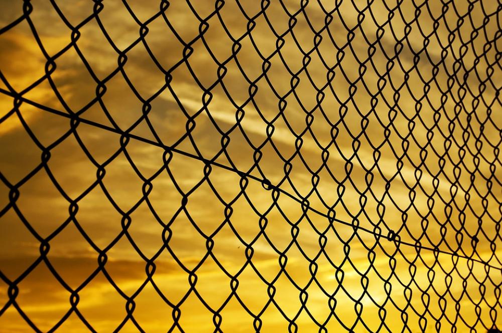 Fence Wire Mesh Sunset Background Evening Orange Fence Wire Mesh Sunset Background Evening Orange