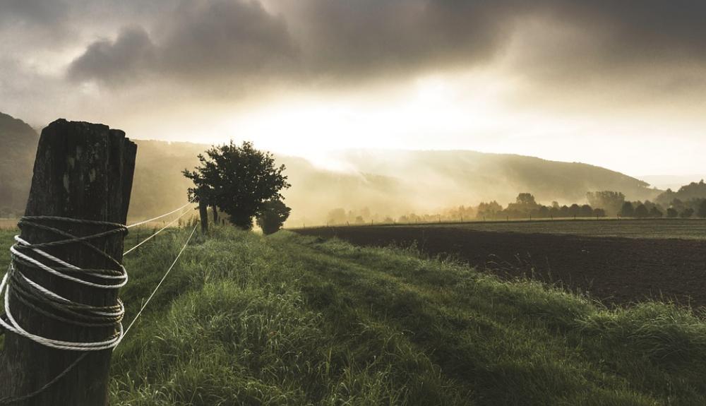 Fence Rural Field Farm Countryside Sunlight Fence Rural Field Farm Countryside Sunlight
