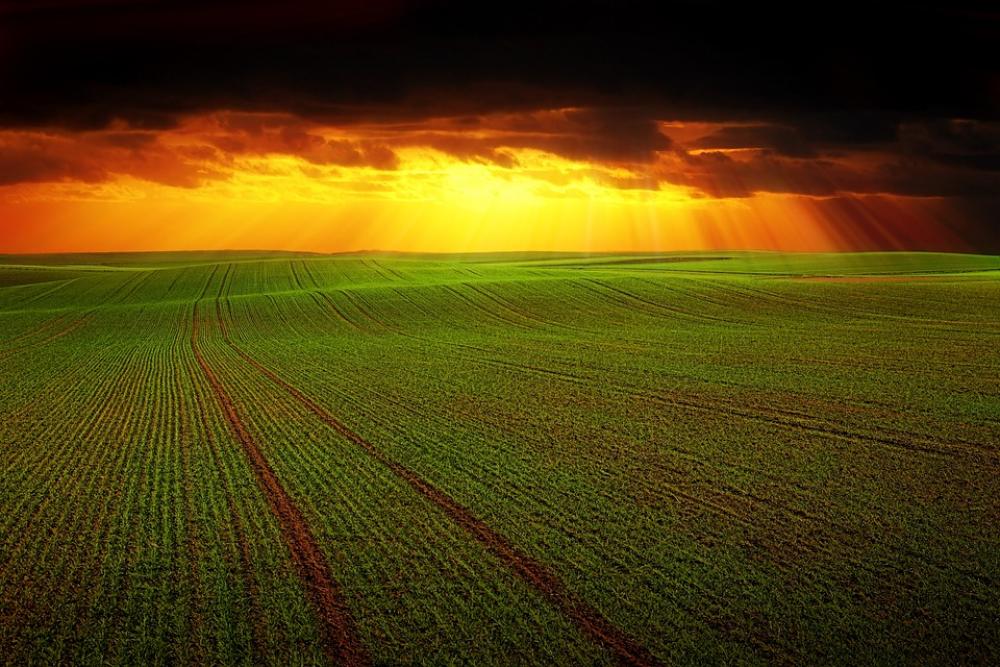 Field Landscape Nature Panorama Clouds Field Landscape Nature Panorama Clouds