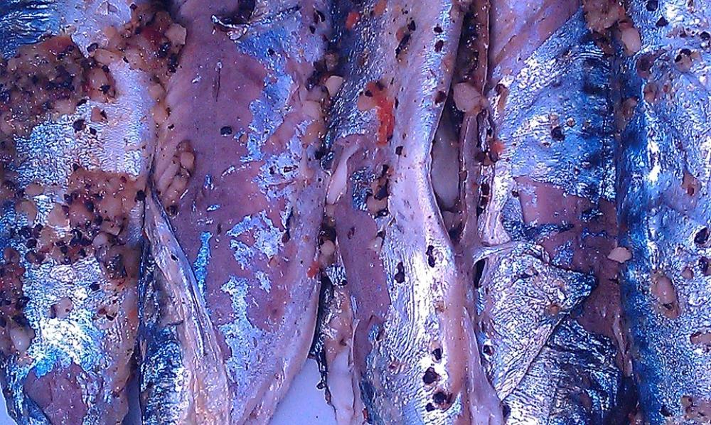 Fish Mackerel Spices Mat Skins Cooking Adjusted Fish Mackerel Spices Mat Skins Cooking Adjusted