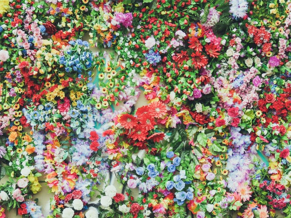 Flowers Colors Nature Floral Spring Summer Flowers Colors Nature Floral Spring Summer