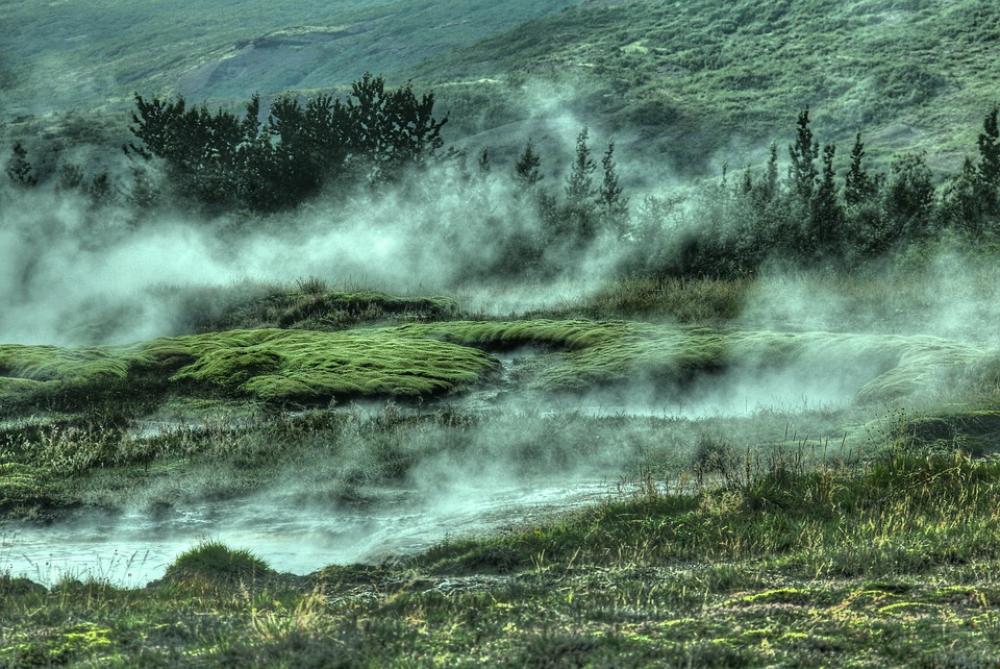 Foggy Hillside Forest Mountain Fog Landscape Mist Foggy Hillside Forest Mountain Fog Landscape Mist