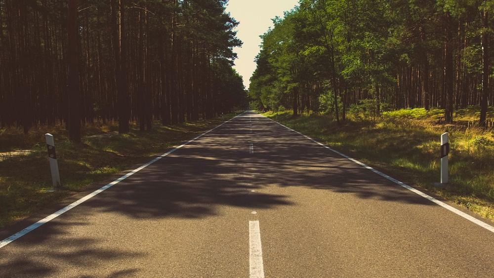 Forest Nature Road Travel Trees Forest Nature Road Travel Trees