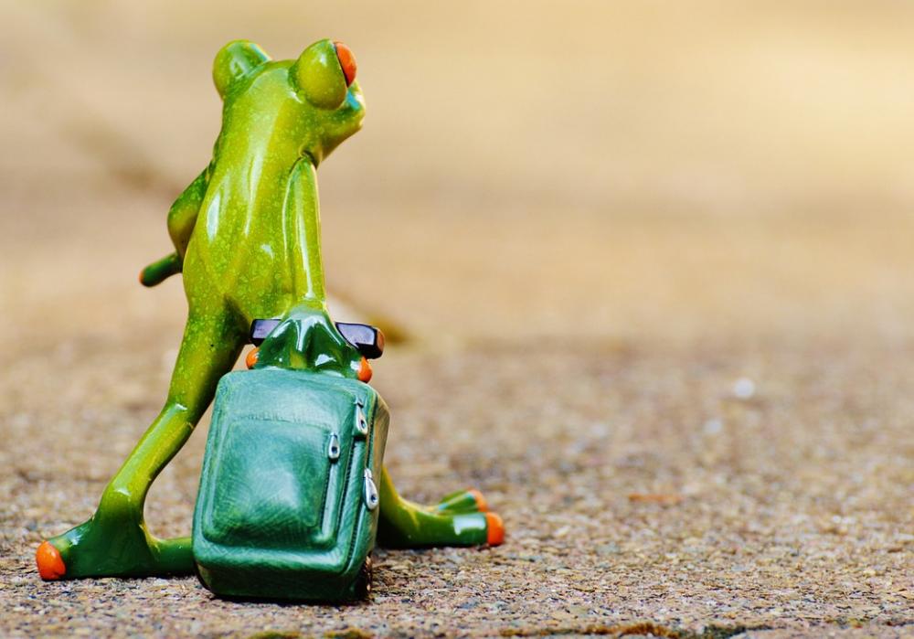 Frog Farewell Travel Luggage Holdall Go Away Frog Farewell Travel Luggage Holdall Go Away