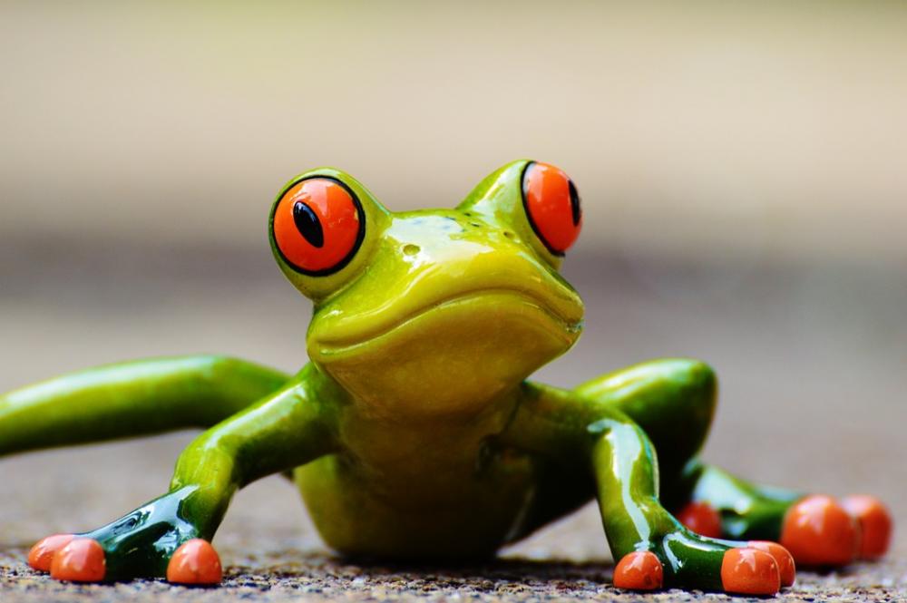 Frog Funny Figure Cute Animal Fun Green Sweet Frog Funny Figure Cute Animal Fun Green Sweet
